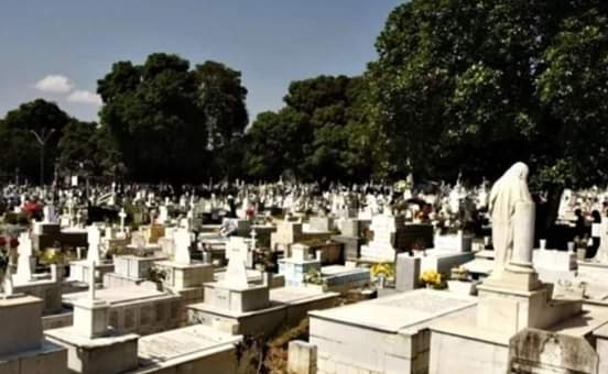 Gatuna é presa após tentativa de roubo de estatueta em cemitério