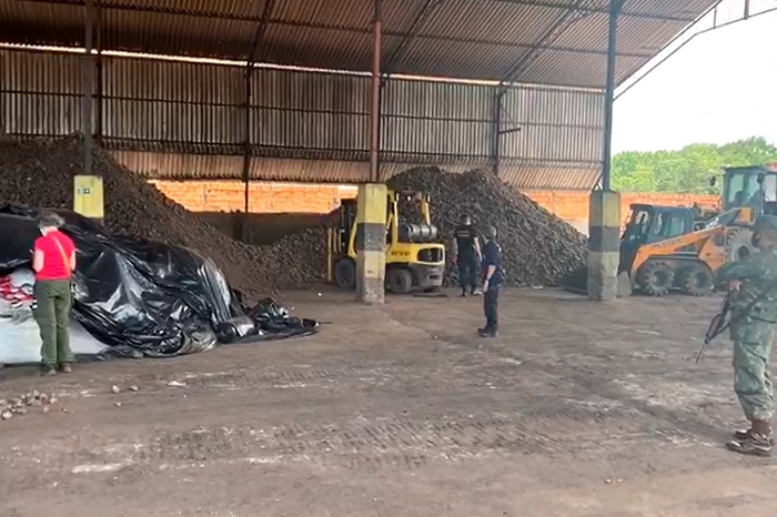Operação apreende 146 mil toneladas de manganês e destrói 3 mil pés de maconha no Pará