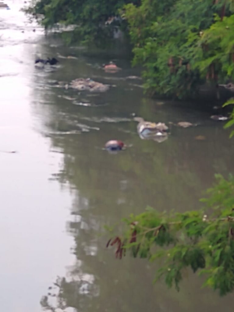 Urgente: corpo é encontrado boiando em igarapé; imagens fortes