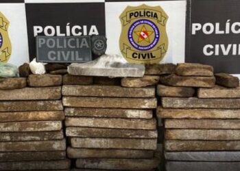 Operação "Black Friday" resulta na apreensão de quase 50kg em drogas