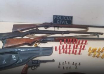 Polícia encontra esconderijo de armas e munições, em Dom Eliseu