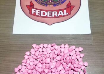 PF prende homem com 300 comprimidos de ecstasy, no sudoeste do PA