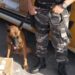 PM encontra maconha dentro de van dos Correios