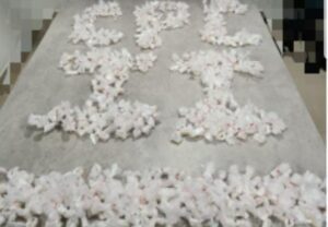 Operação da PM apreende mais de 400 papelotes de cocaína