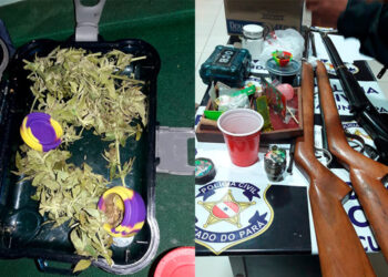 Festa clandestina com drogas é encerrada pela PM