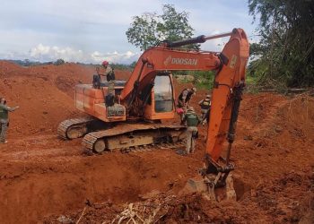 Operação combate a crimes ambientais identifica 19,5 mil/ha de área desmatada ilegalmente