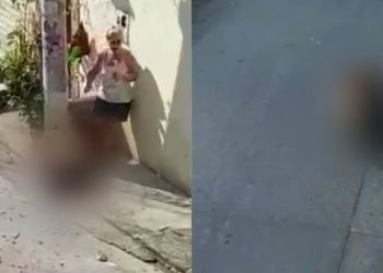 Vídeo fortíssimo mostra momento em que pitbull violento estraçalha poodle e dona se desespera