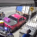 Momento em que entregador de água reage a assalto em Ananindeua; assista