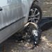 Vítima de assalto atropela suspeitos e quebra a perna de um deles