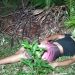 Discussão familiar acaba em morte de jovem na zona rural de Parauapebas