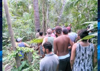 Polícia investiga triplo homicídio no nordeste do Pará