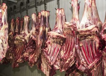 China retoma importação de carne brasileira