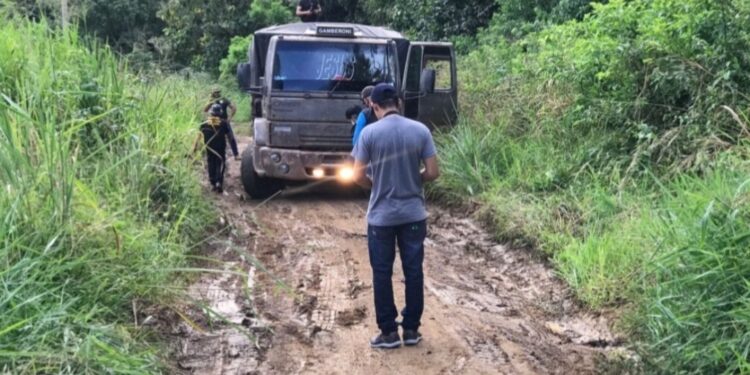 SEMMA realiza apreensão de madeira em Altamira