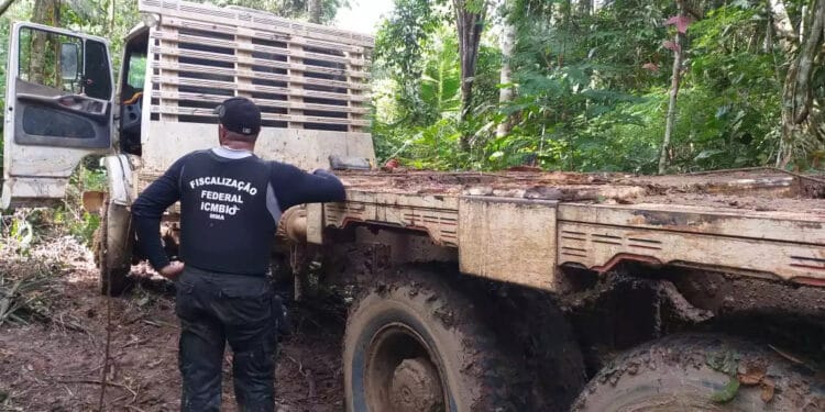 As empresas mais multadas nas unidades de conservação da Amazônia