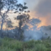 Incêndio destrói área de proteção ambiental em Santarém