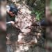 Vídeo: Bope encontrou corpo em cova rasa dentro de fazenda
