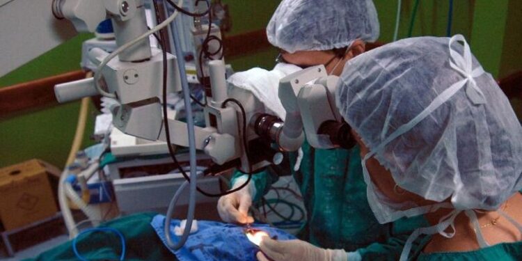 Número de transplantes de rim caiu no Brasil 