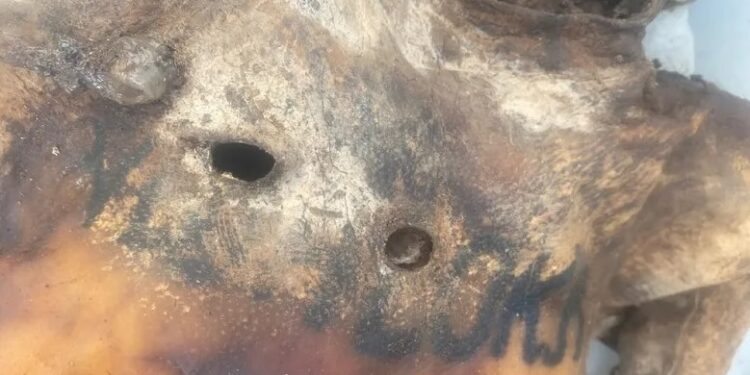 Corpo em estado avançado de decomposição é encontrado na zona rural em Novo Progresso, no PA