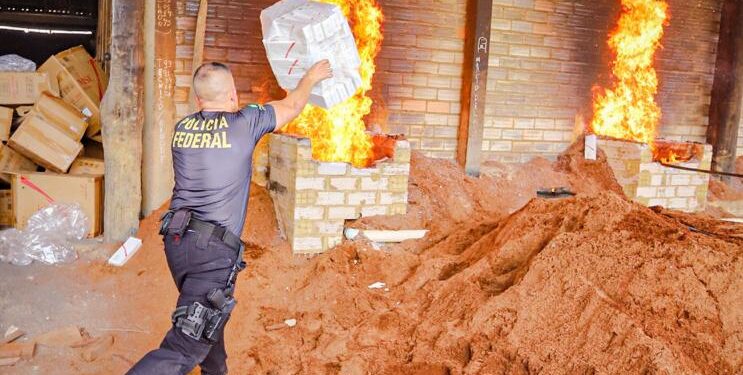 PF destrói droga e cigarro apreendidos em Altamira PA