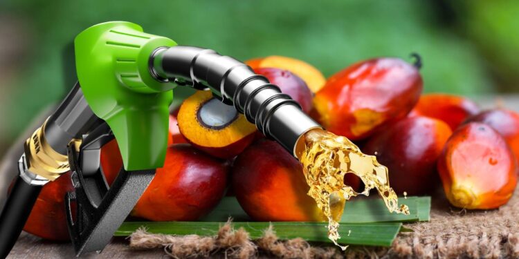 Agropalma retomará produção de biodiesel no Pará