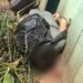 Uruará: Homem é assassinado em Rio no km 147