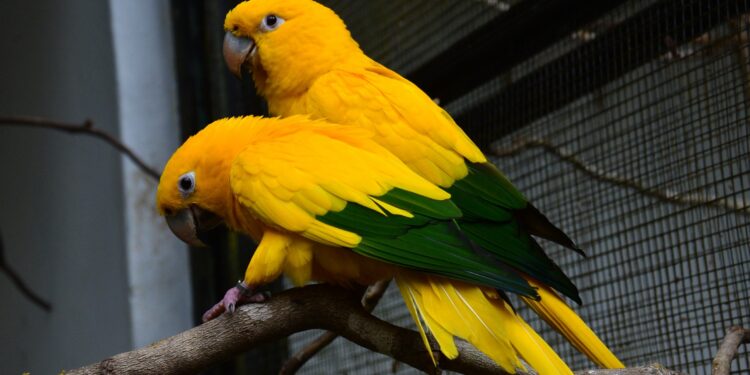 Parque Zoobotânico de Carajás estará fechado no próximo domingo (30)