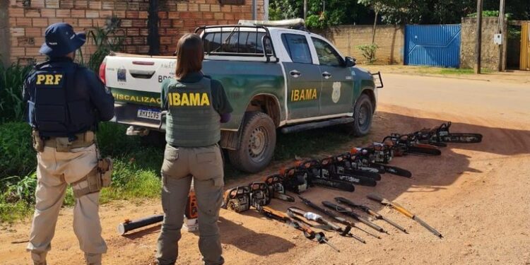 PRF e IBAMA realizam operação de combate ao desmatamento