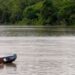 Amazônia Legal terá recursos para projetos de bioeconomia
