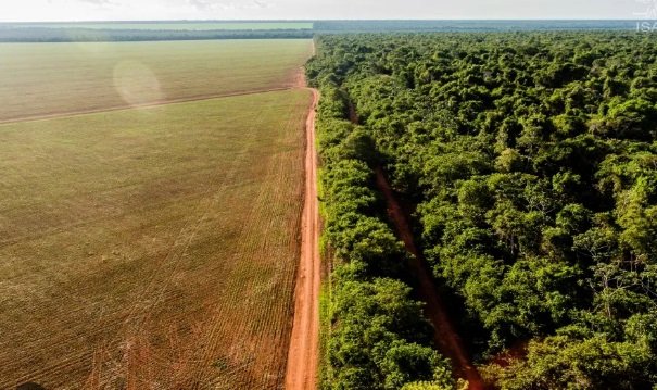 Pará tem quase 7 mi hectares para resolver a questão fundiária e ambiental
