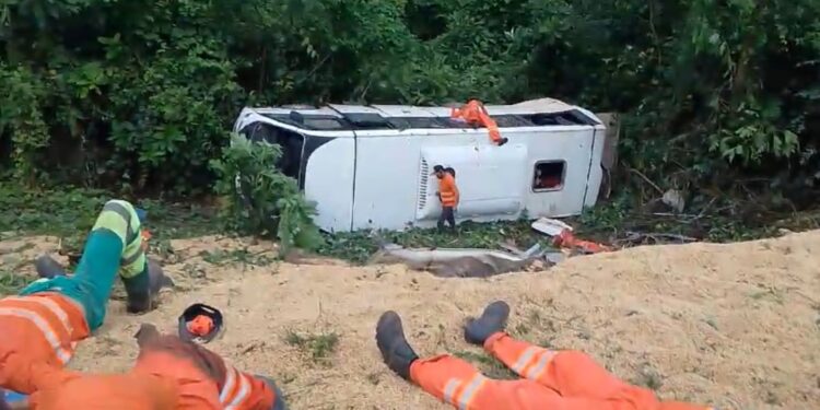 Vídeo: Colisão entre carreta e micro-ônibus deixa mortos na BR-163