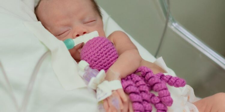 Hospital do Sudeste do Pará garante suporte integral para bebês prematuros Hospital do Sudeste do Pará garante suporte integral para bebês prematuros