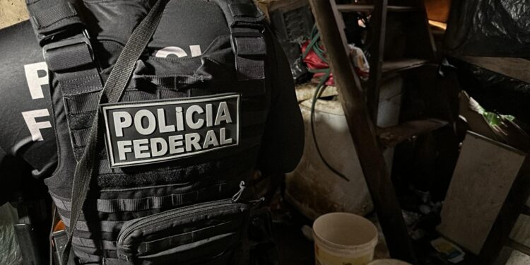 PF prende homem que vendia pornografia infantojuvenil online