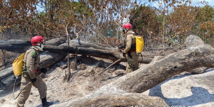 Vídeo: Prevenção e combate a incêndios na região amazônica Vídeo: Prevenção e combate a incêndios na região amazônica