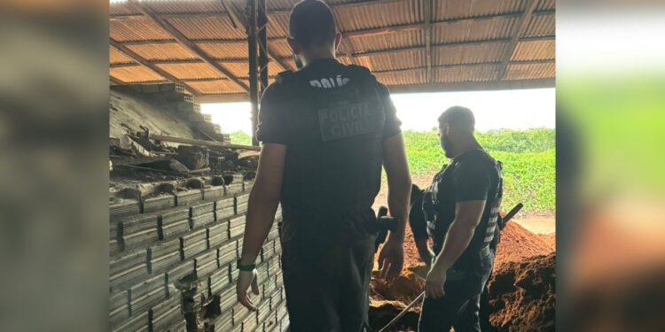 Polícia Civil incinera 348 Kg de cocaína apreendida em Tailândia