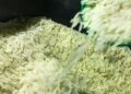 Governo autoriza compra de uma tonelada de arroz