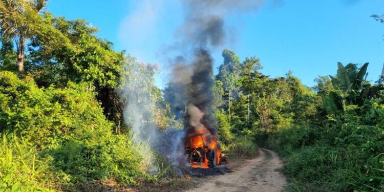 PF combate crimes ambientais - Plantão 24Horas News PF combate crimes ambientais - Plantão 24Horas News