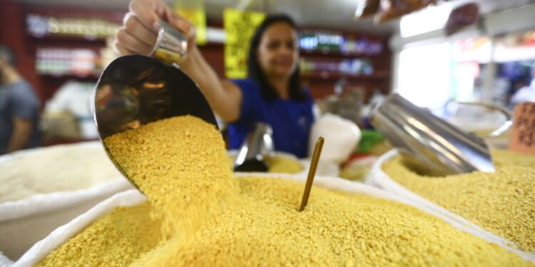 Em 2023, Brasil alcança recorde de 100,7 milhões de pessoas ocupadas Em 2023, Brasil alcança recorde de 100,7 milhões de pessoas ocupadas