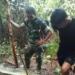 Indonésia: mulher é engolida por cobra píton gigante de 9 metros
