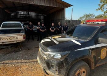 Polícia Civil deflagra Operação ‘Falso Tigre’ em Uruará e Santarém, no oeste do Pará