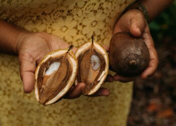 Fundos comunitários garantem direitos de povos tradicionais