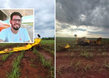 Piloto morre após bater avião contra rede de alta tensão em Goiás, dizem bombeiros