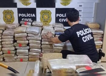 Mais de 400 kg de drogas são apreendidos em Rurópolis