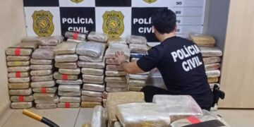 Mais de 400 kg de drogas são apreendidos em Rurópolis