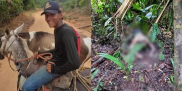 Corpo de Jovem é Encontrado em Área de Mata na Zona Rural de Itaituba