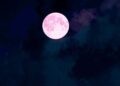 Céu terá "lua rosa cor neste domingo (13); veja o horário
