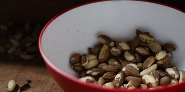 Agricultura familiar do Nordeste vai à maior feira mundial alimentos Agricultura familiar do Nordeste vai à maior feira mundial alimentos