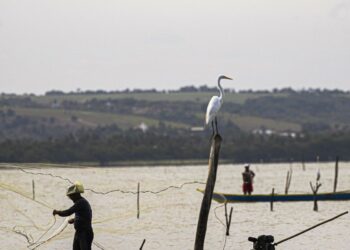 Gestão do seguro-defeso passa oficialmente ao Ministério do Trabalho Gestão do seguro-defeso passa oficialmente ao Ministério do Trabalho