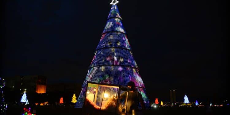 Cesta de Natal deverá ter alta de 4,5%, abaixo da inflação de 2024 Cesta de Natal deverá ter alta de 4,5%, abaixo da inflação de 2024