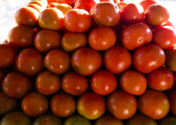 Inflação da comida em casa cai 0,2% em novembro, sexto recuo seguido Inflação da comida em casa cai 0,2% em novembro, sexto recuo seguido