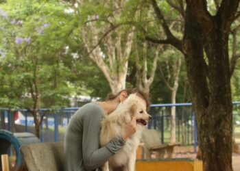 Cade aprova fusão entre Petz e Cobasi com restrições Cade aprova fusão entre Petz e Cobasi com restrições